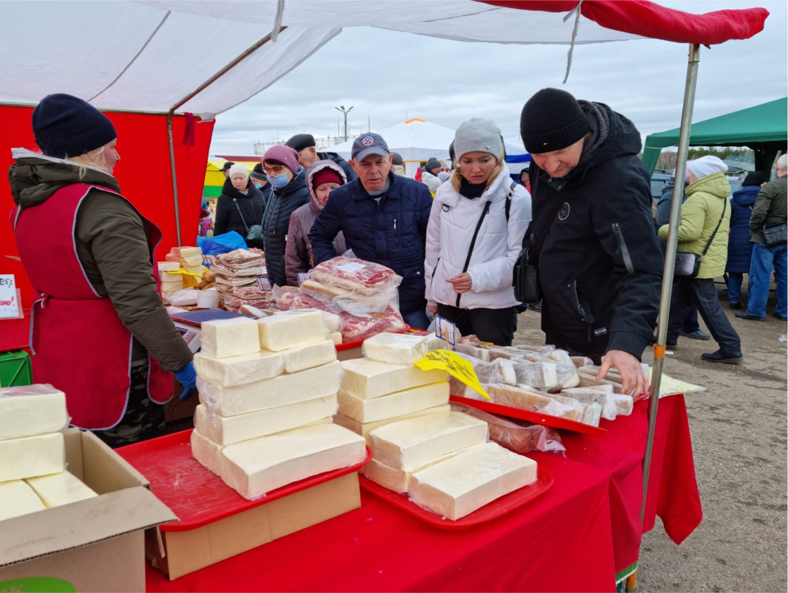 Выставки набережные челны 2024. Ярмарка сельскохозяйственной продукции. Сельхоз ярмарка в Челнах. Весенняя сельскохозяйственная ярмарка. Социальные ярмарки сельхозпродукции.