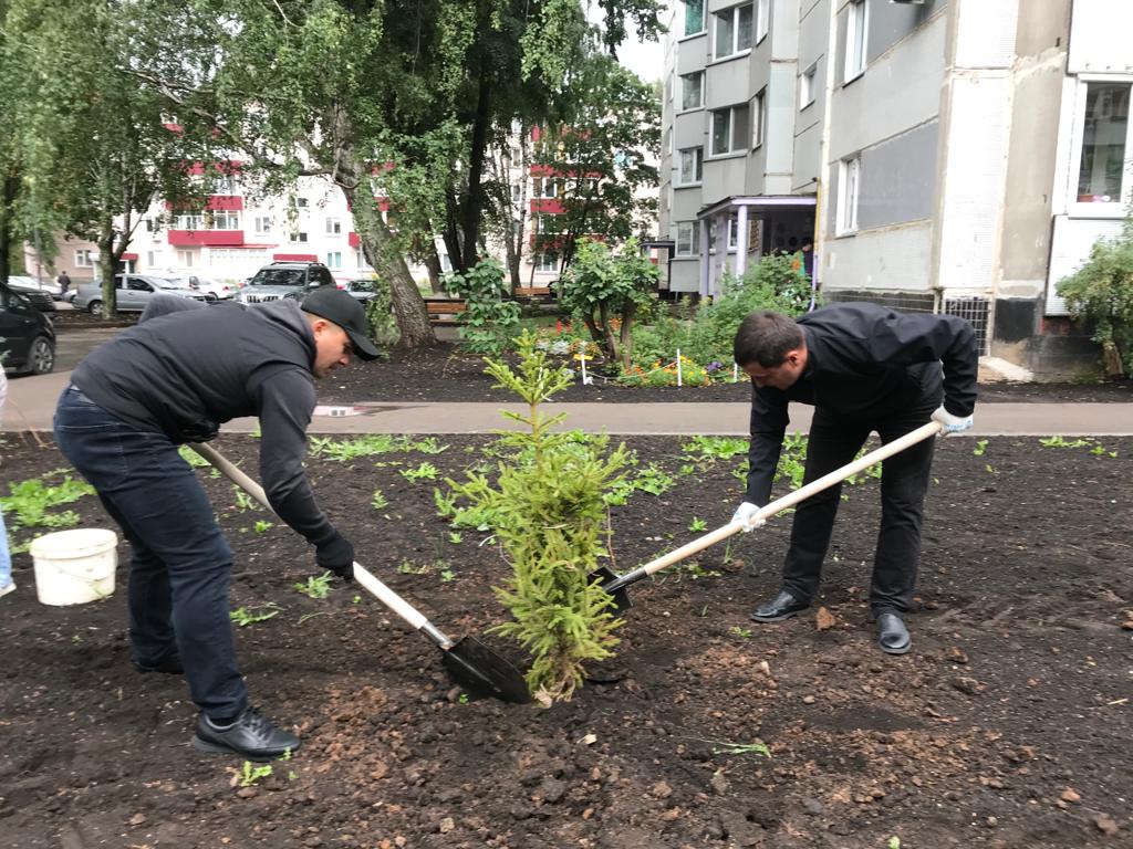 30 молодых елей и рябин появились сегодня во дворе дома 6/01 / Набережные  Челны