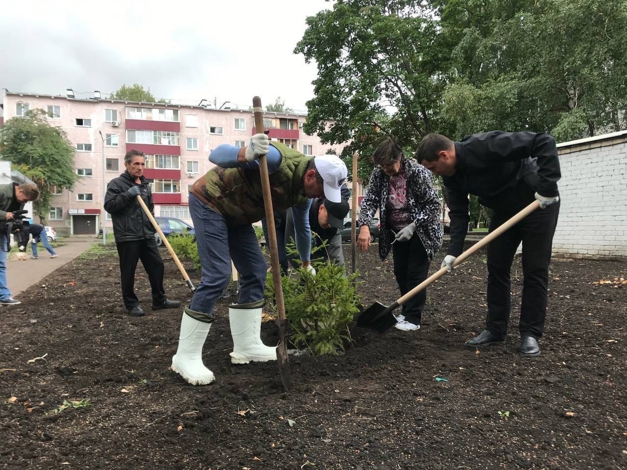 30 молодых елей и рябин появились сегодня во дворе дома 6/01 / Набережные  Челны